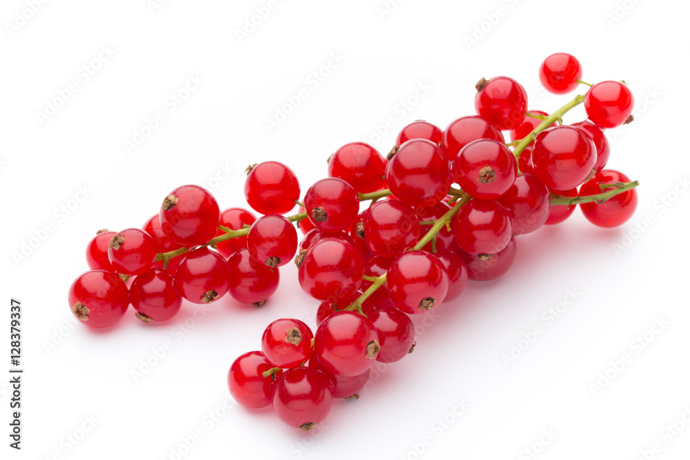 Red Currant close up isolated on white. Red Currant close up isolated on white.