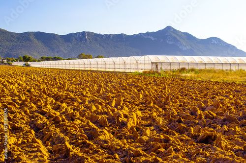 agricoltura biologica. Terreno dissodato photo