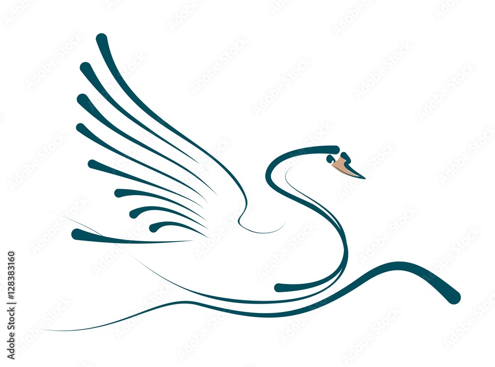 Fototapeta premium Floating swan. 