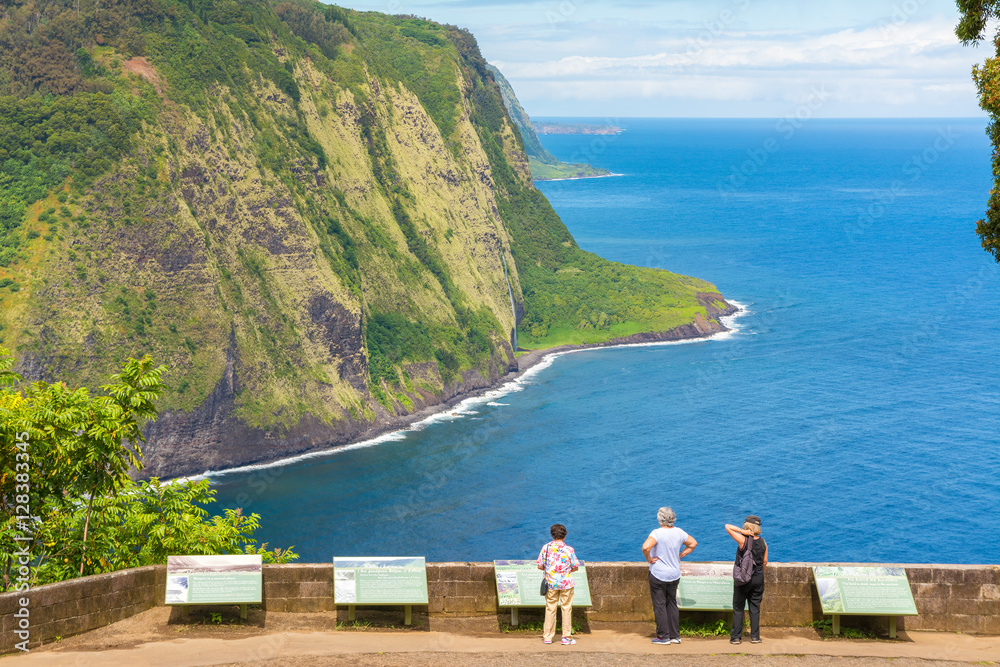 Group of tourists enjoying the amazing view in Waipio Valley, Big Island, Hawaii, Usa Group of tourists enjoying the amazing view in Waipio Valley, Big Island, Hawaii, Usa