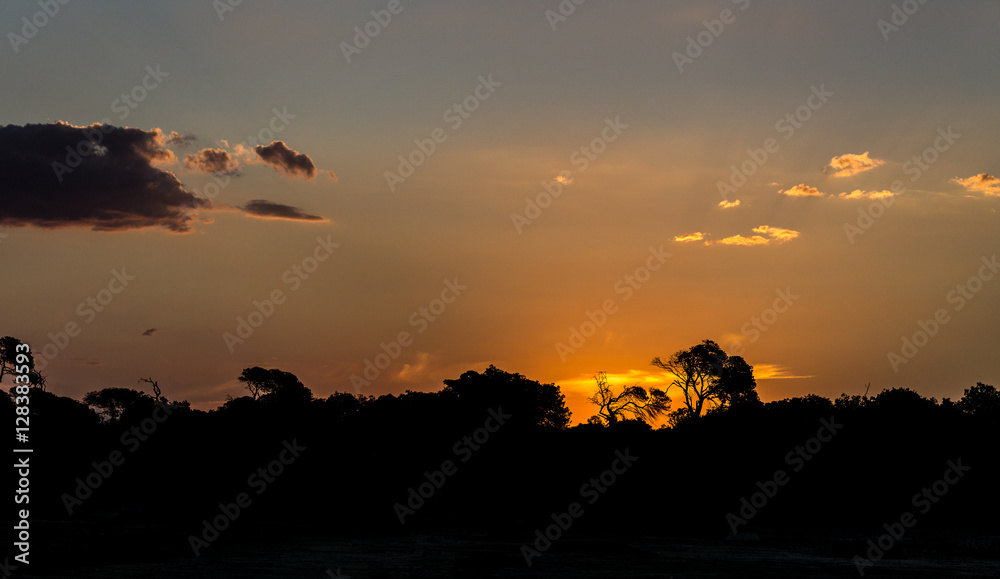 Silhouettes of trees in at sunset at the forest skyline with some clouds red orange colours