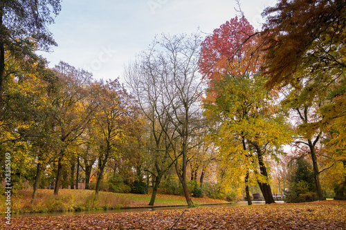 Golden autumn in Minnewater park in Bruges  Belgium