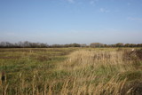 Landscape field