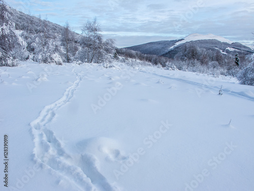 Bieszczadzki Park Narodowy zimą, droga  w kierunku Połoniny Caryńskiej © Agnieszka Rodowicz