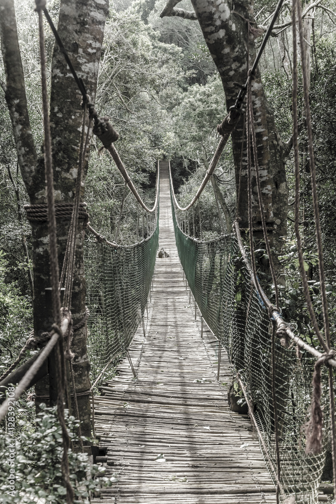 Obraz premium Hanging bridge