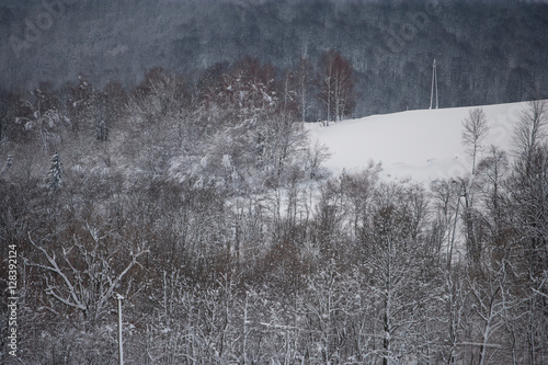 Fototapeta Naklejka Na Ścianę i Meble -  Zimowy pejzaż z Bieszczad