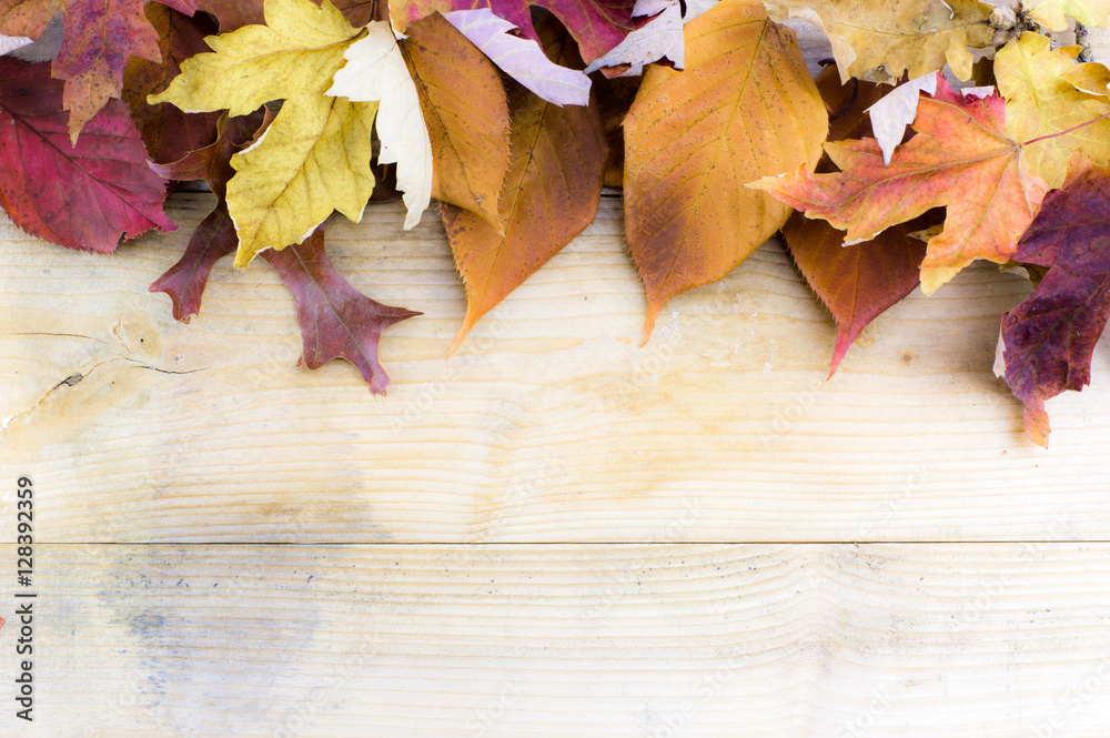 Obraz premium Autumn fall leaves on rustic wooden table as sale email backgrou