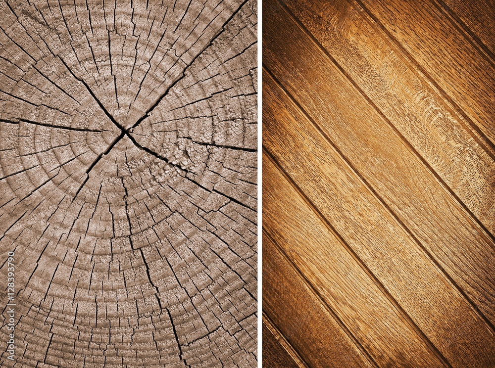 Fototapeta premium Wood texture. Lining boards wall. Wooden background pattern. Showing growth rings. set