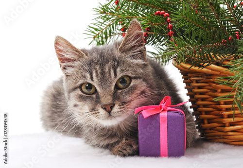 Kitten with Christmas gifts.