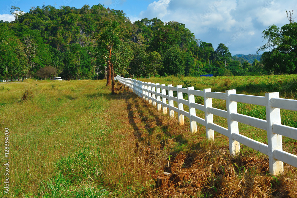 White fence and green hedge with tree on blue sky. White fence and green hedge with tree on blue sky.