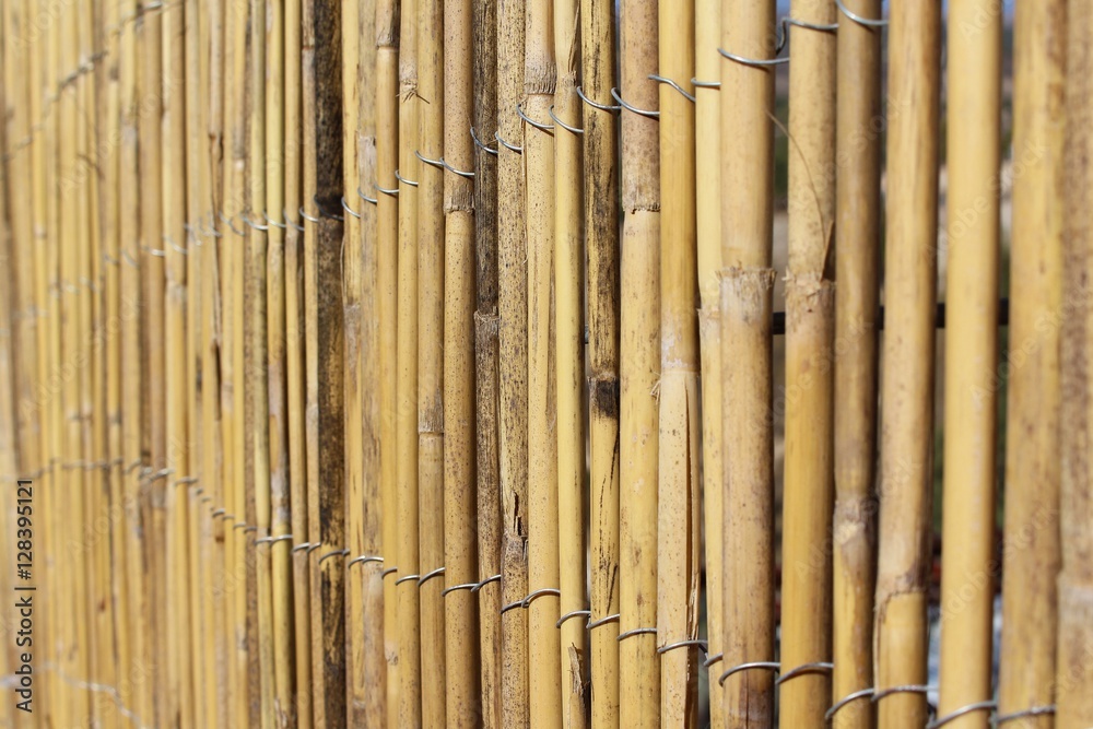 Fototapeta premium Bamboo Fence