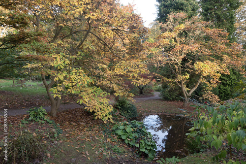 arboretum autumn