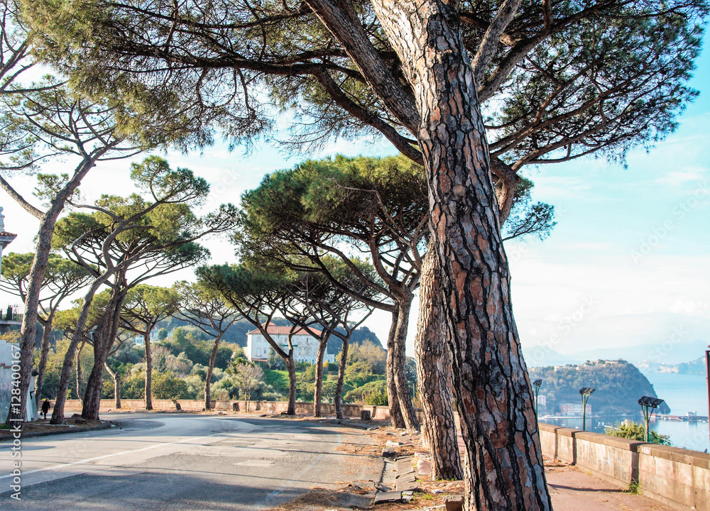 beautiful street in Naples leading to the sea, Posillipo, Naples, Italy 