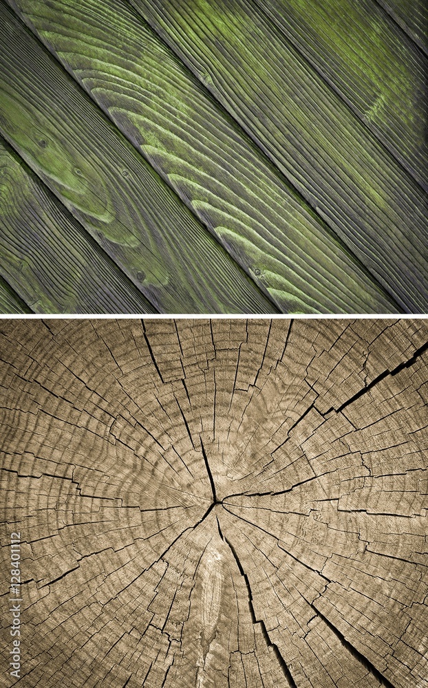 Fototapeta premium Wood texture. Lining boards wall. Wooden background. pattern. Showing growth rings. set
