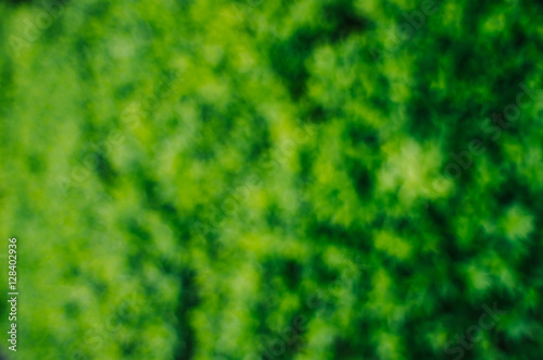 Defocused, blurred, creamy bokeh nice fresh green bush leaves texture horizontal background, St patricks day, spring greenery postcard, greeting card, banner, poster empty template.