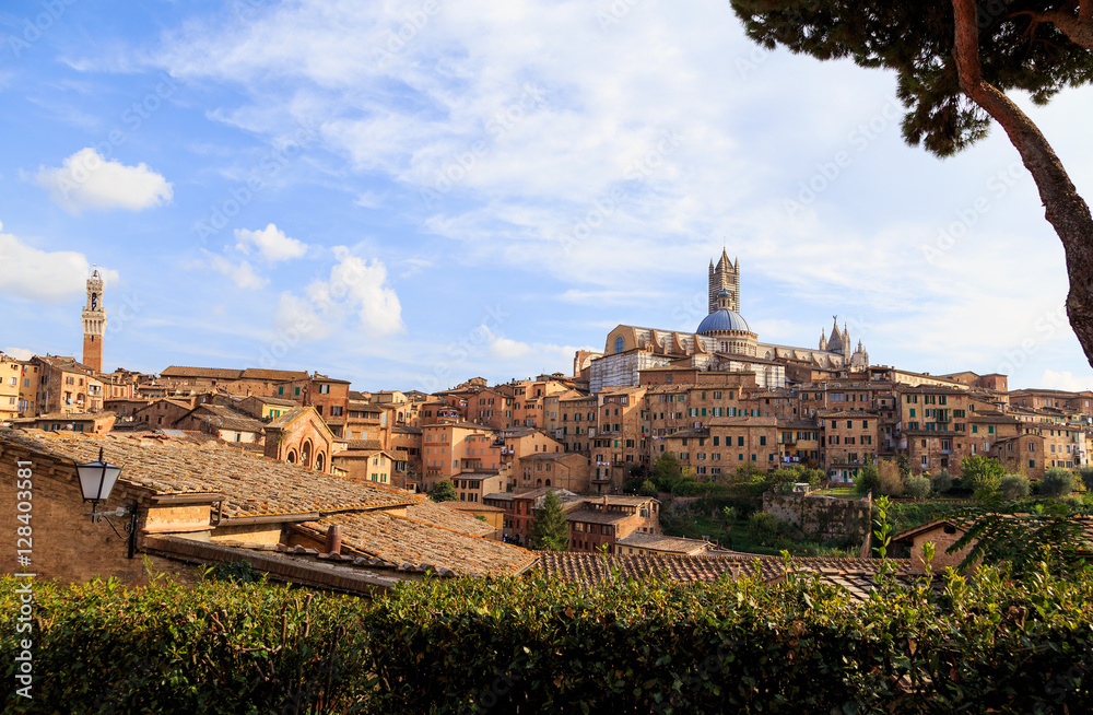 Italy, Tuscany, Siena, the old town, the Duomo.