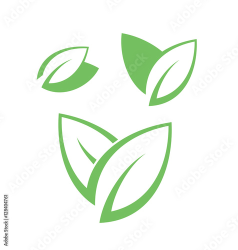 Tea leaves on white background