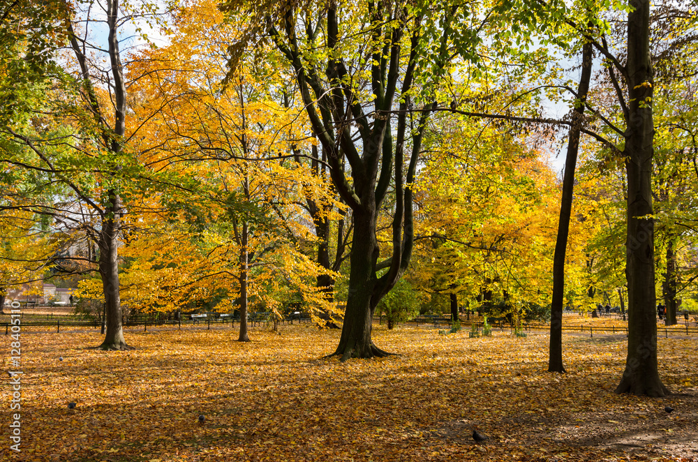 Colorful autumn Planty park in Krakow