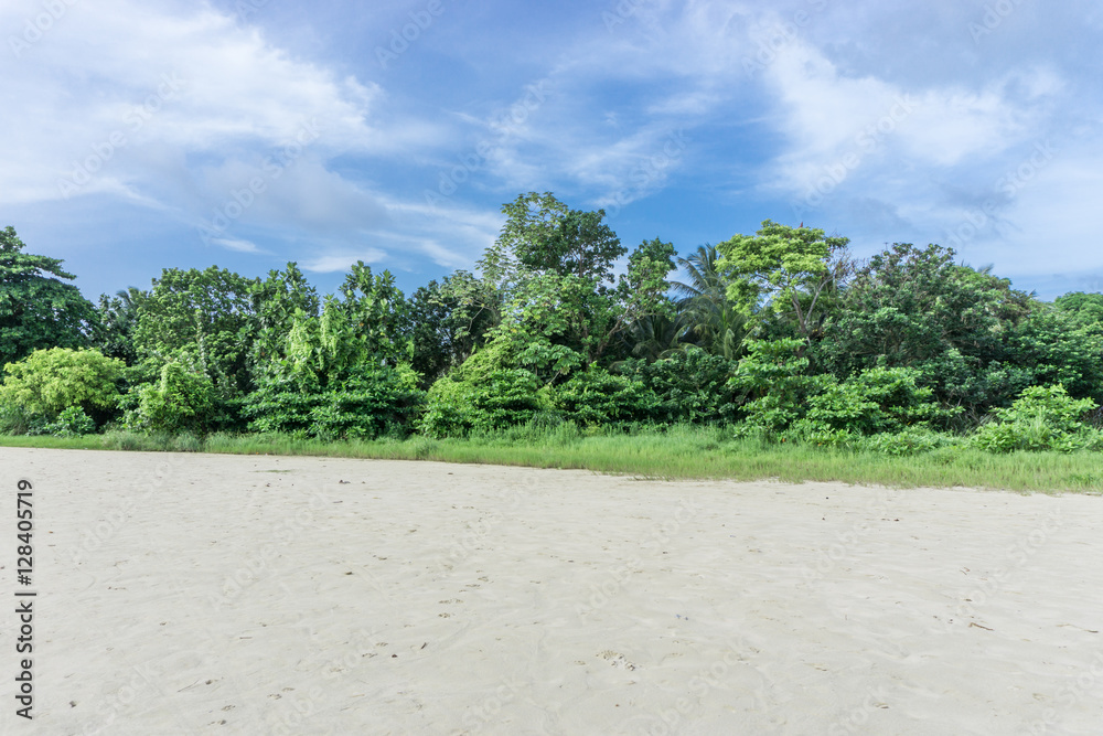 Fototapeta premium nature in front of sand beach
