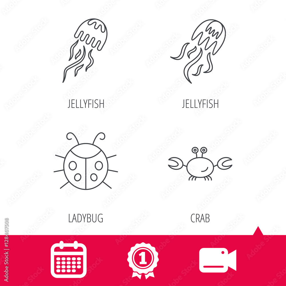 Achievement and video cam signs. Jellyfish, crab and ladybug icons. Ladybird linear sign. Calendar icon. Vector