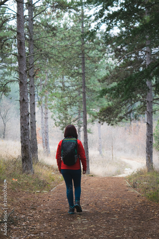 Fototapeta premium Woman hiking in the forest