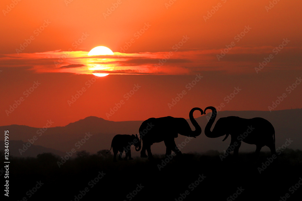 Beautiful Silhouette of African Elephants at Sunset