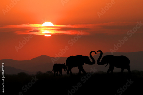 Beautiful Silhouette of African Elephants at Sunset © Katrina Brown