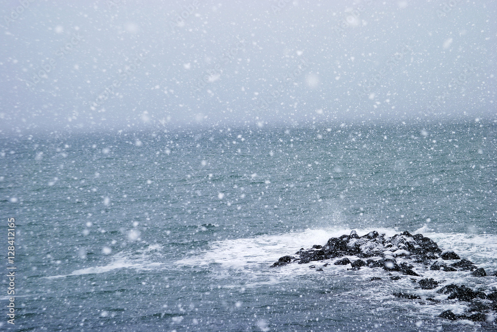 Naklejka premium 冬の海
