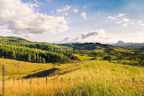 Green hills and valleys of the North Island, New Zealand, in the summer evening