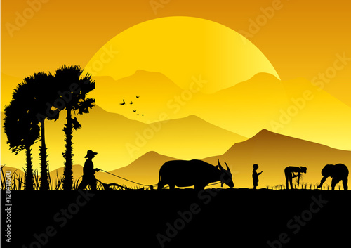 Silhouette of Asian farmer harrowing rice field, 