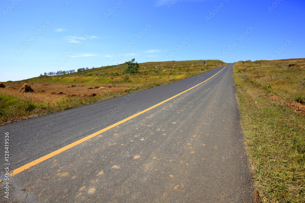 asphalt road on grassland