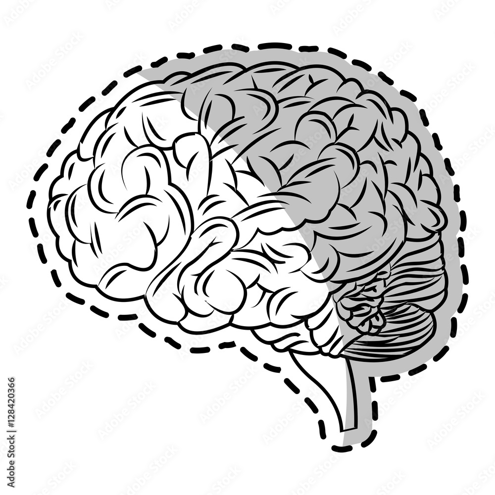 Brain icon. Human organ mind and science theme. Isolated design. Vector illustration Brain icon. Human organ mind and science theme. Isolated design. Vector illustration