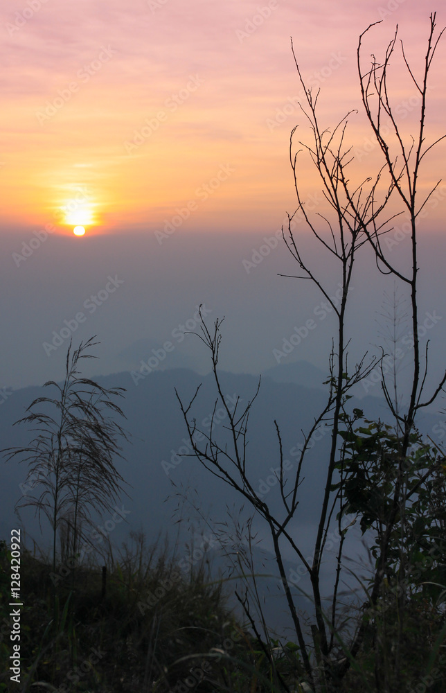 Soft focus beautiful sunrise and fog in the mountains at Phu Chi Fa of Chiang Rai, Thailand.