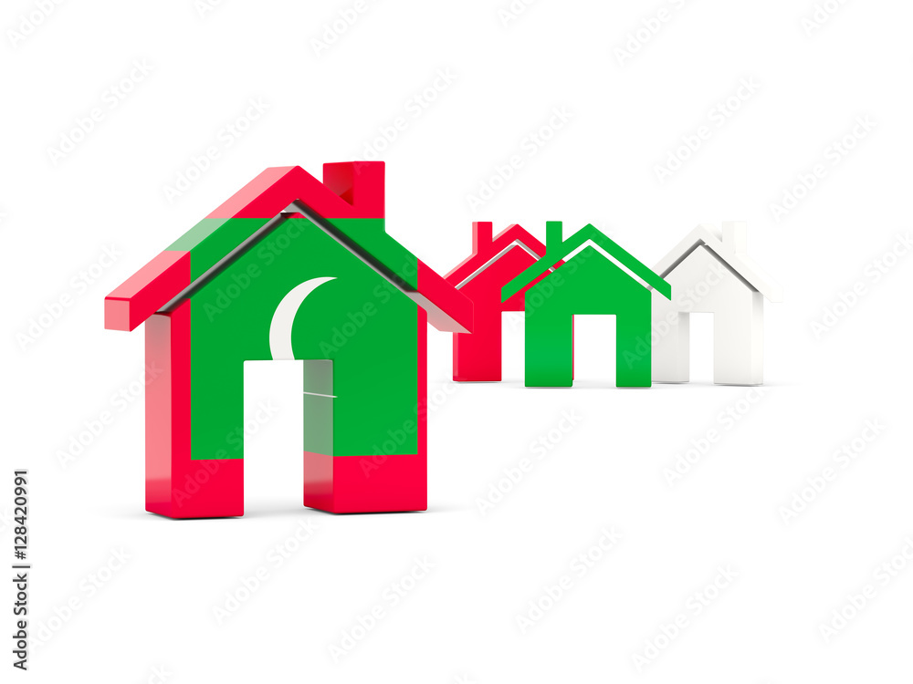 Flag of maldives, home icon