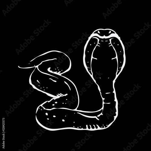 Hand-drawn pencil graphics, snake, cobra. Engraving, stencil style.