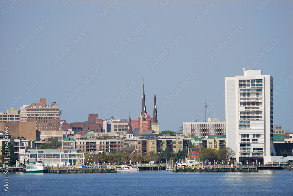 Charleston cityscape and river view