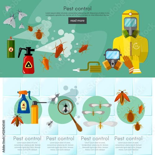 Pest control services infographics banner