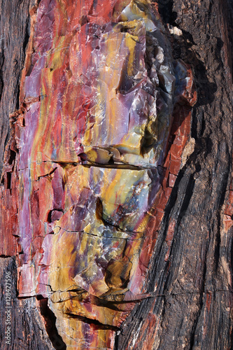 Colorful petrified wood at Petrified Forest National Park