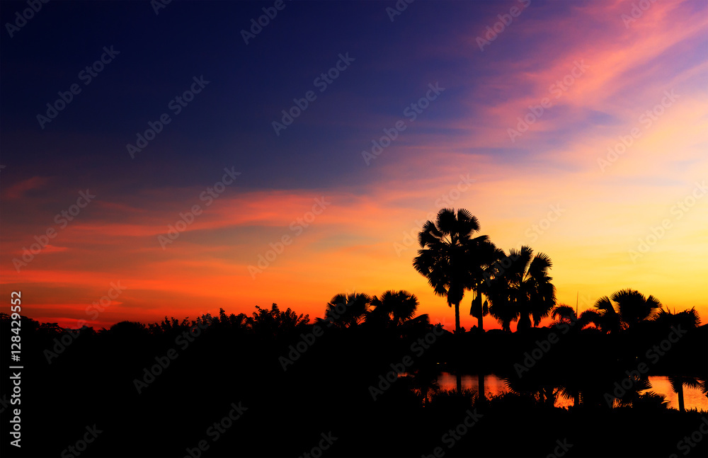 silhouette of tree and skylight, long exposure photograph. over light