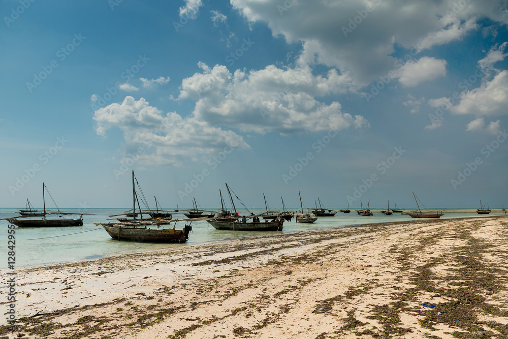 landscape with fishing boats on the shore, Zanzibar landscape with fishing boats on the shore, Zanzibar