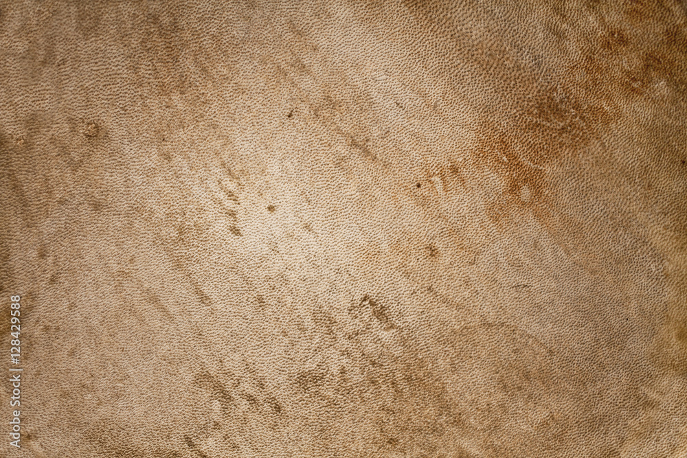 Vintage old skin, paper texture from djembe drum