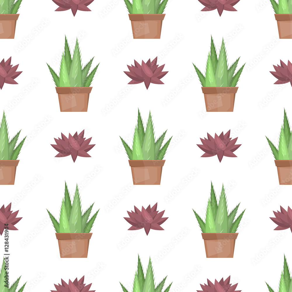 Cactus desert plant vector. Cactus desert plant vector.