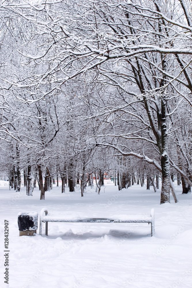urban central park on the first snowy day of winter