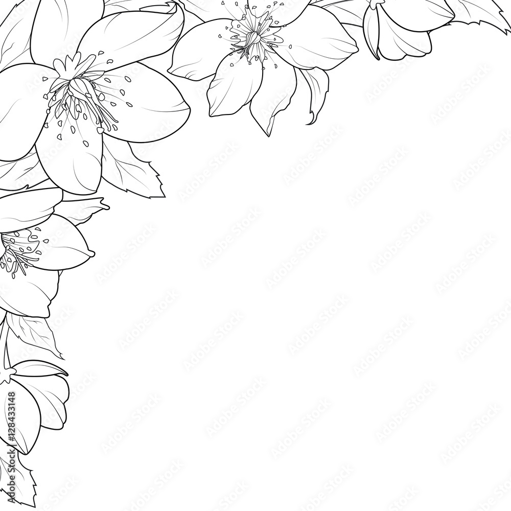 Download #frames #frame #corner #corners #borders #border #roses - Drawing  Border Design Flower PNG image for… | Drawing borders, Roses drawing,  Embroidery patterns