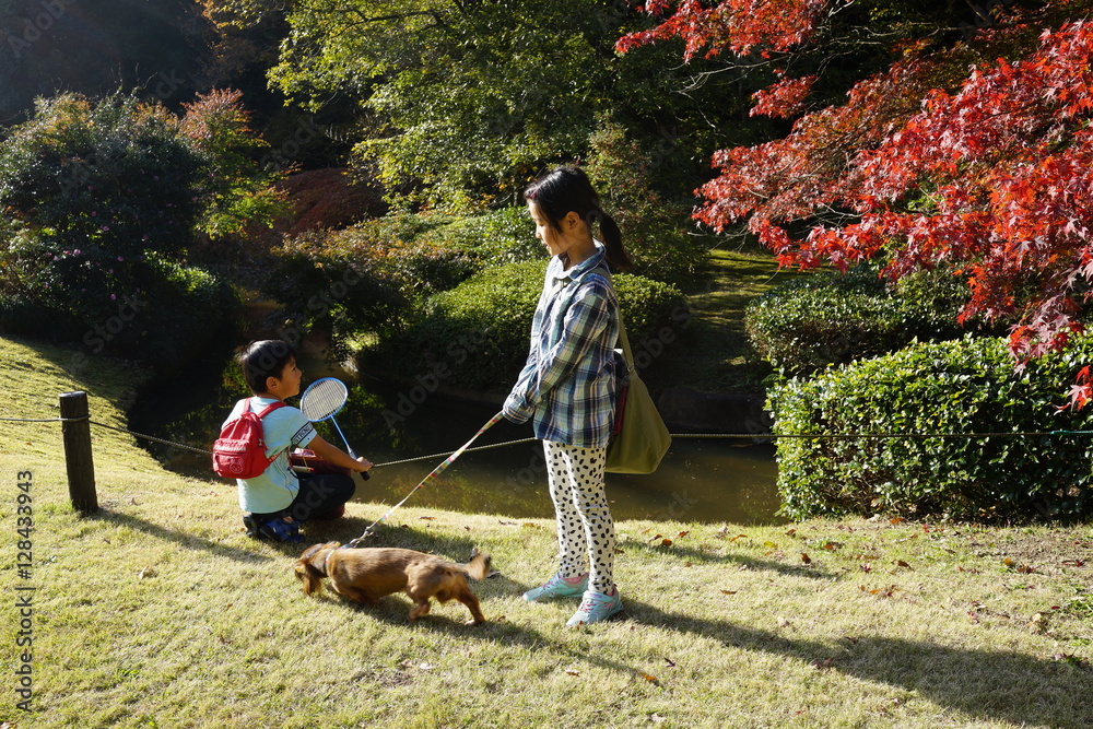 子供と犬 秋の公園 少女 ペット 犬 散歩 横顔 子供 子供 楽しい 遠足 アジア人 日本人 芝生 Foto De Stock Adobe Stock 子供と犬 秋の公園 少女 ペット 犬 散歩 横顔 子供 子供 楽しい 遠足 アジア人 日本人 芝生 Foto De Stock Adobe Stock