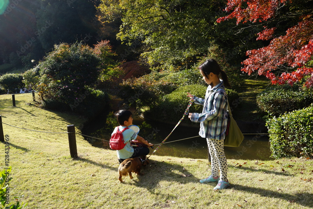 子供と犬 秋の公園 少女 ペット 犬 散歩 横顔 子供 子供 楽しい 遠足 アジア人 日本人 芝生 Stock Photo Adobe Stock