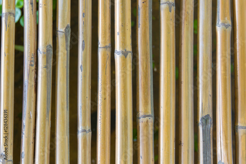 Bamboo tube for background