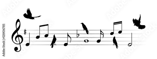 Music notes with birds. 
