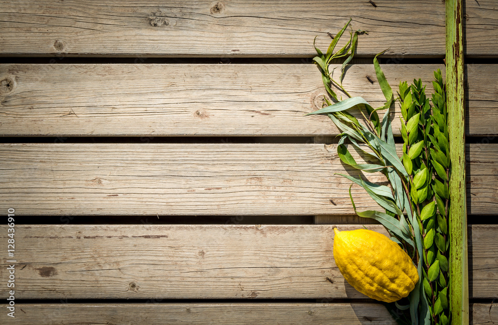 Four species, symbols of Jewish holiday Sukkot Stock Photo Adobe Stock