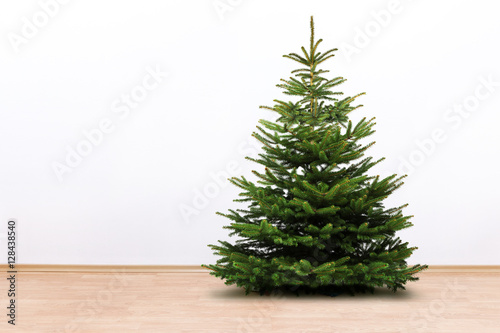 Tannenbaum im Zimmer